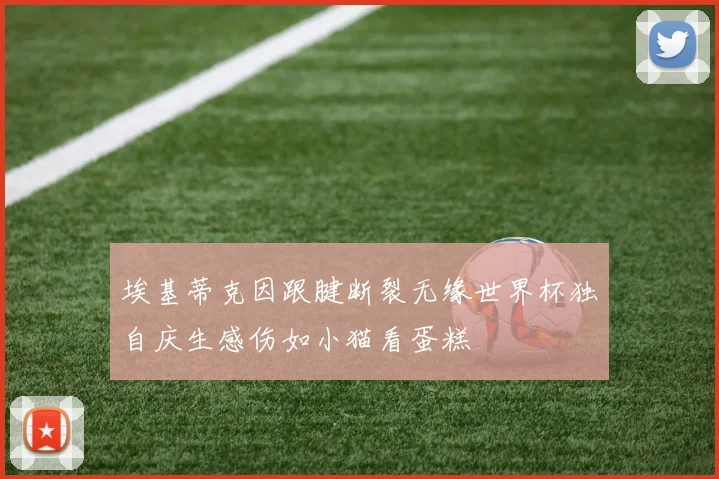 埃基蒂克因跟腱断裂无缘世界杯独自庆生感伤如小猫看蛋糕